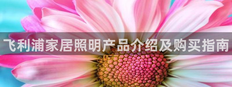 环球ug官网代理