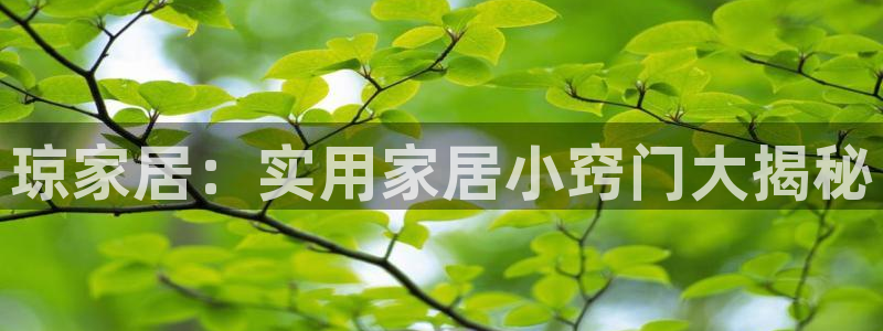 ug环球官网会员