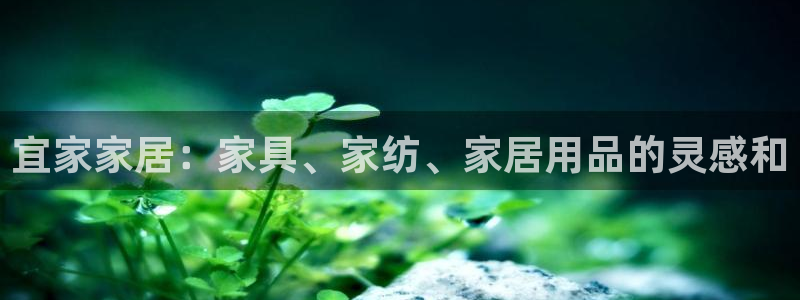 ug环球视讯手机版官网